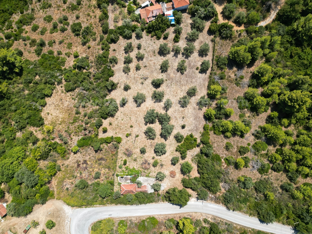 The Olive Estate With a Splash of History - Property Pelion
